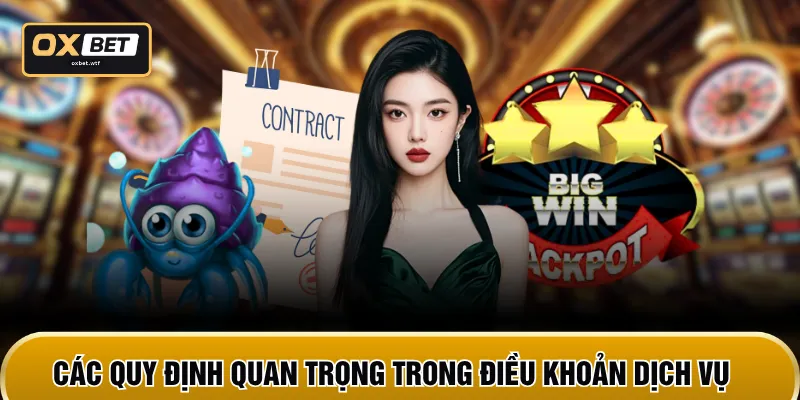 Các quy định quan trọng trong điều khoản dịch vụ