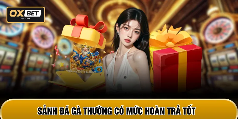Sảnh đá gà thường có mức hoàn trả tốt